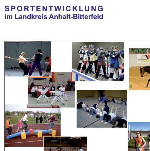 cover projektsportentwicklung