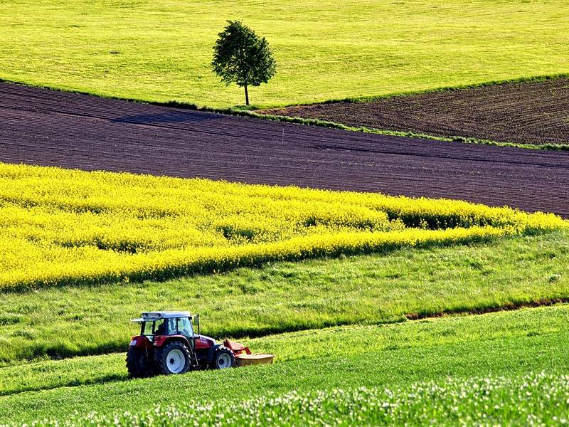 agriculture 1619437 1920 © Pixabay