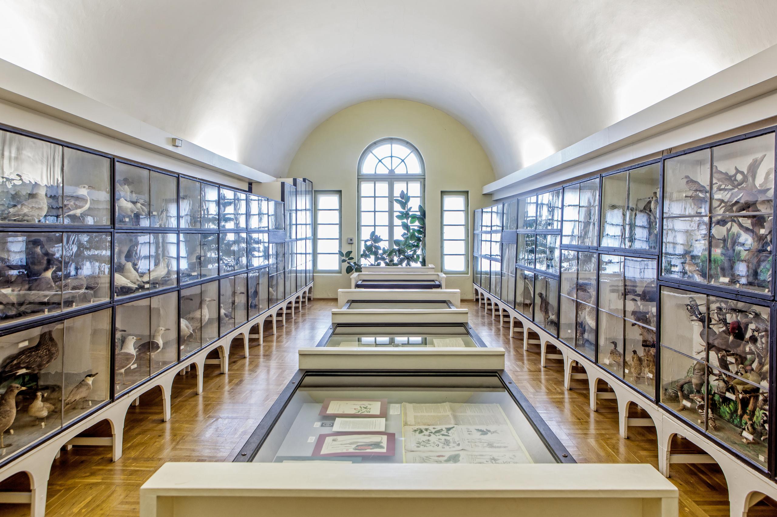 Naumann-Museum im Ferdinandsbau des Schlosses ©Christian Ratzel Blick in das Naumann-Museum des Schlosses