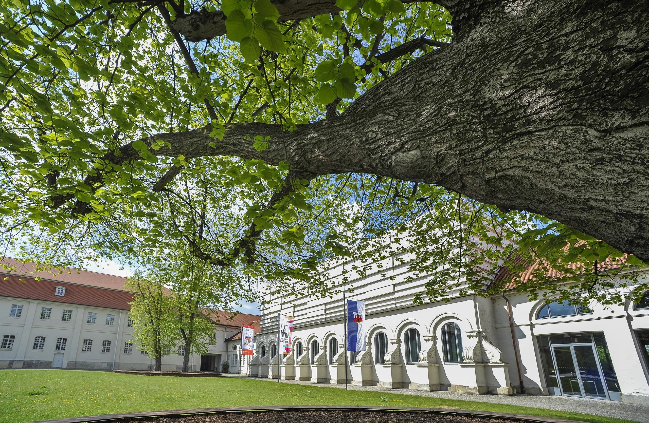 Veranstaltungszentrum Schloss Köthen ©Heiko Rebsch Blick auf das Veranstaltungszentrum des Schlosses Köthen