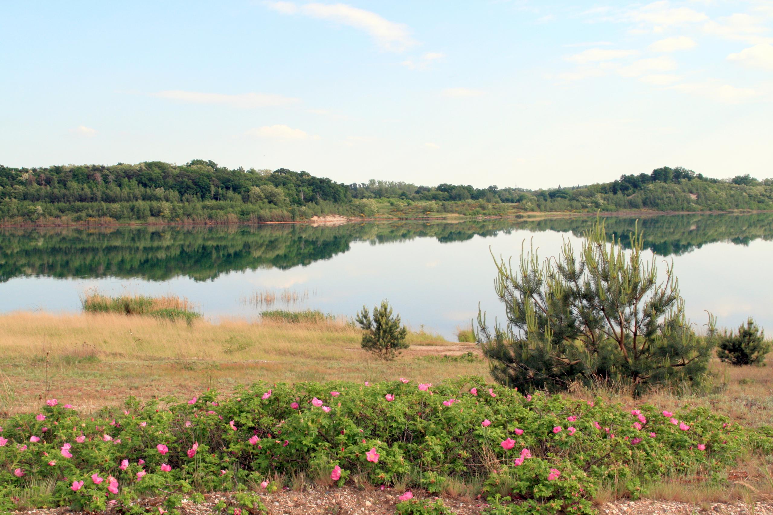 Goitzsche Wildnis ©Annett Freudenreich