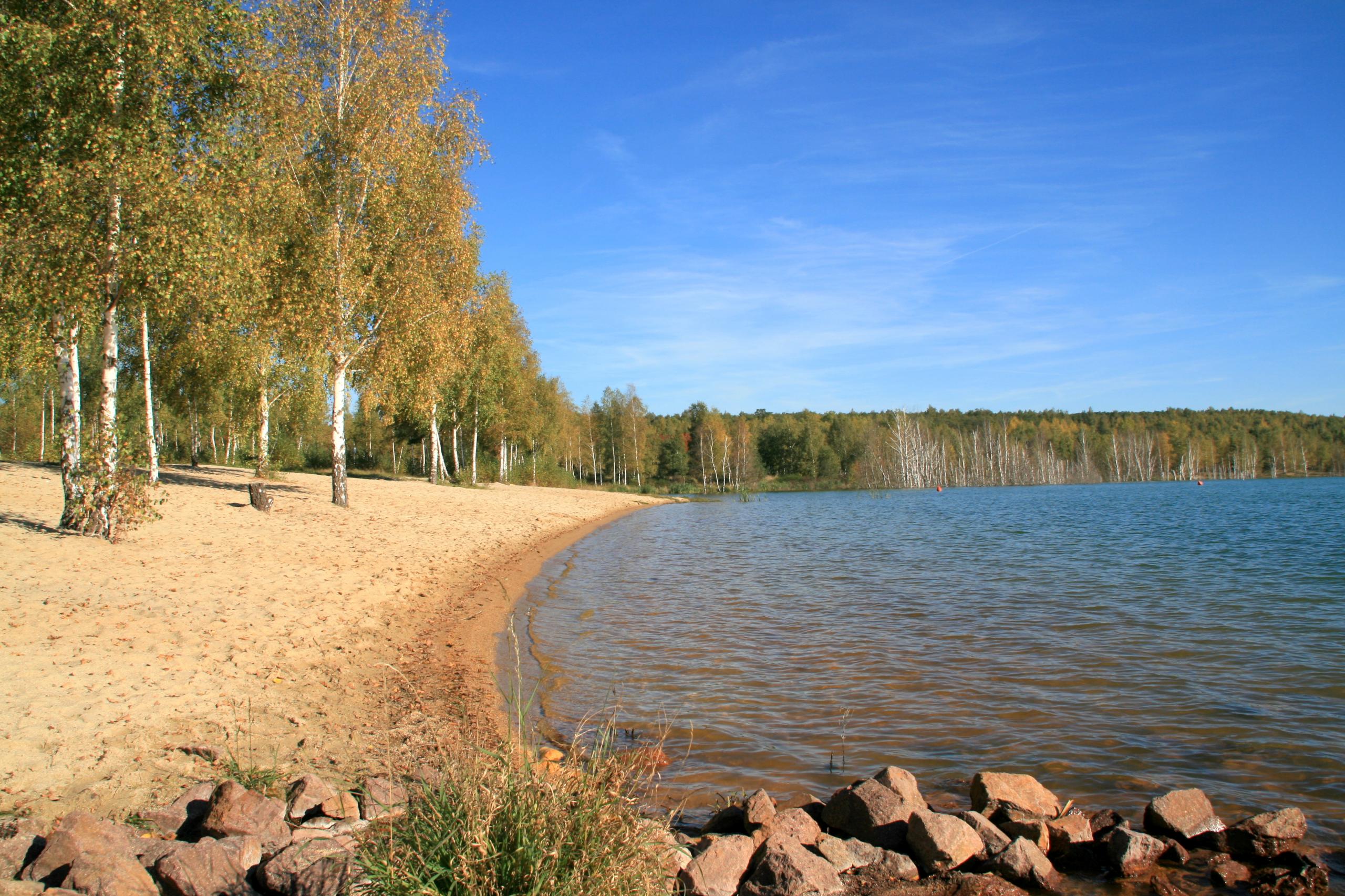 Goitzsche Wildnis am Ludwigsee bei Holzweißig ©Annett Freudenreich Blick auf den Ludwigsee bei Holzweißig