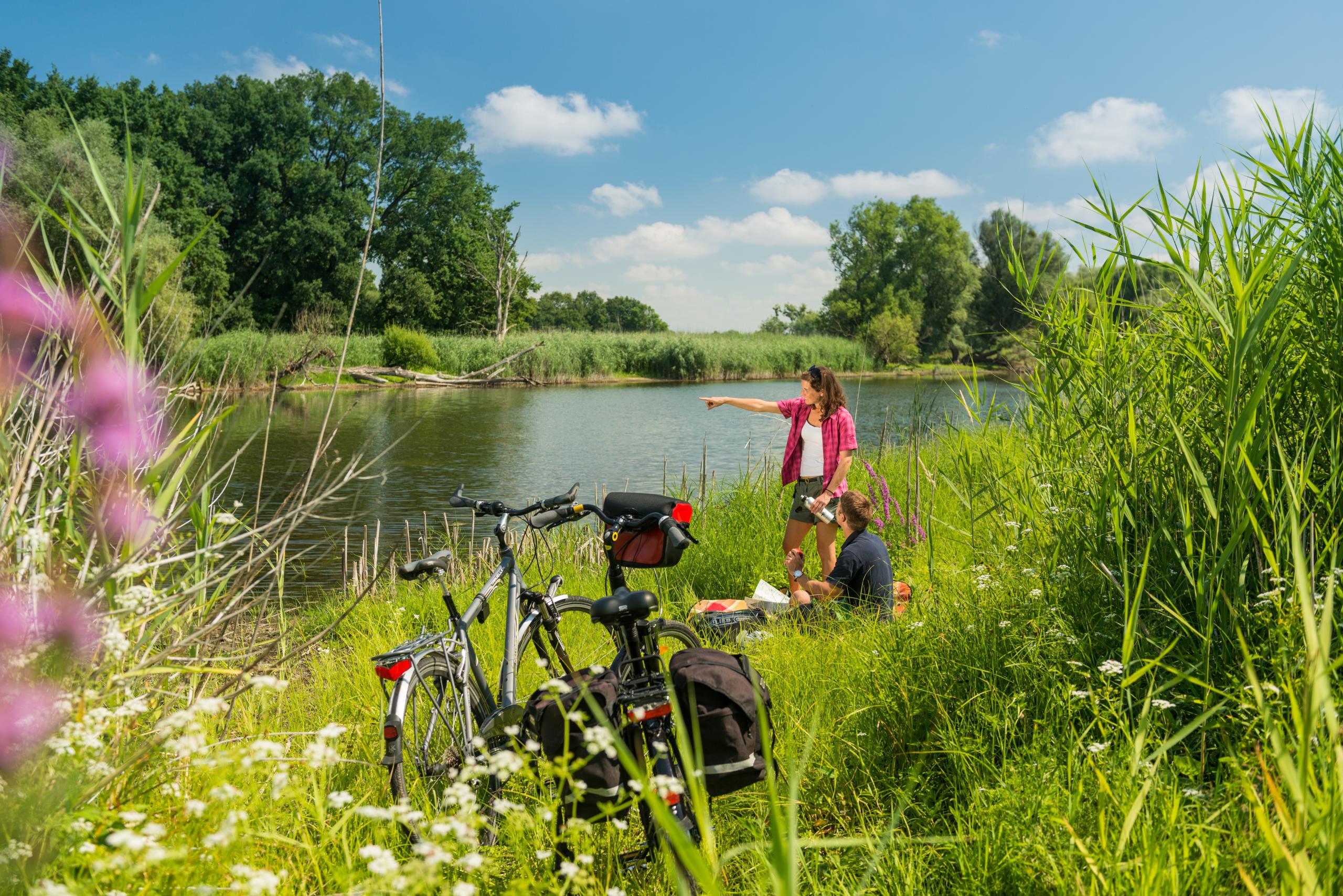 Radler am Elberadweg ©Magdeburger Tourismusverband Elbe-Börde-Heide e.V.