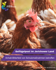 Amtliche Mitteilung zur Geflügelpest © Landkreis Anhalt-Bitterfeld via Canva.com Man sieht den Kopf eines braunen Huhns. Ringsum weitere Hühner.