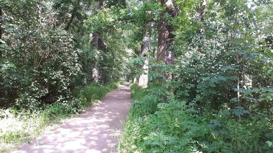 fasanerie köthen © Landkreis Anhalt-bitterfeld