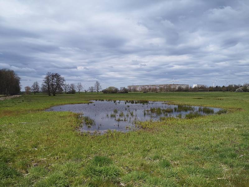 kokonto foto k.kuhring © K. Kuhring