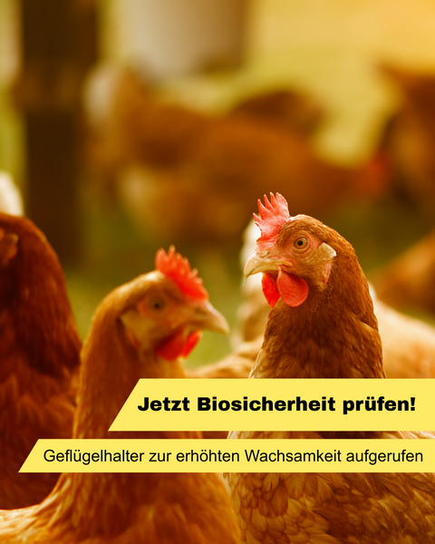 jetzt biosicherheit pr fen