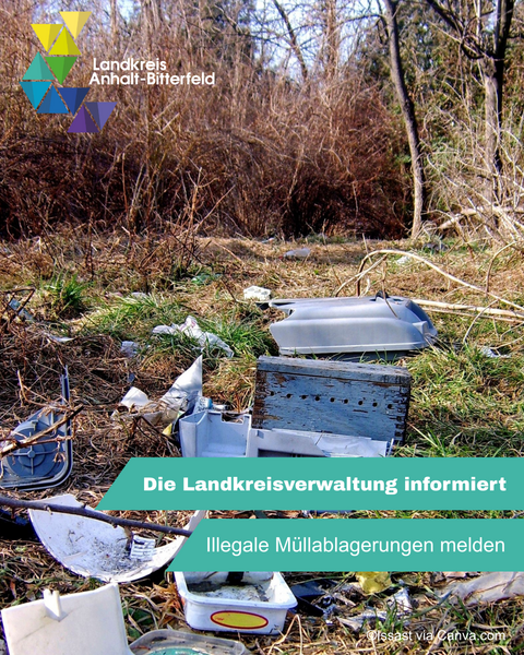 Ein Waldstück mit viel herumliegendem Müll. &copy; Landkreis Anhalt-Bitterfeld via Canva.com