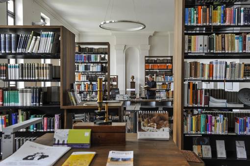 Blick in die Europäische Bibliothek für Homöopathie © Heiko Rebsch