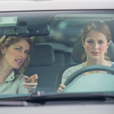 BF-17 – Begleitetes Fahren ab 17 &copy; https://www.bmv.de